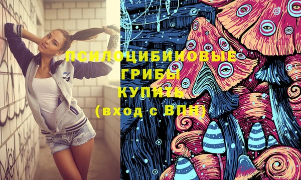 прущие крисы Переславль-Залесский