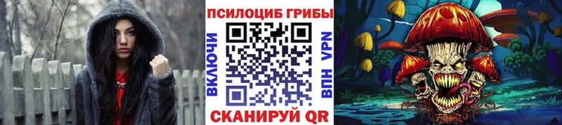 Галлюциногенные грибы Psilocybine cubensis  omg как войти  Волжский 