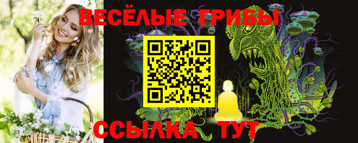 Псилоцибиновые грибы ЛСД Волжский