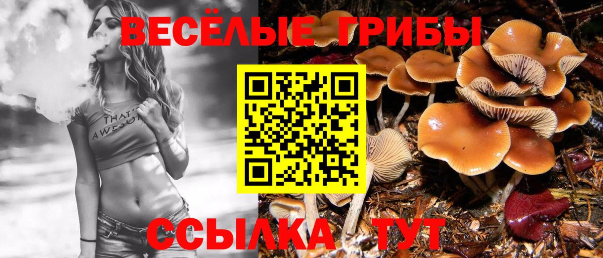 Псилоцибиновые грибы MAGIC MUSHROOMS Волжский