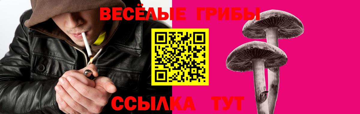 Псилоцибиновые грибы Волжский